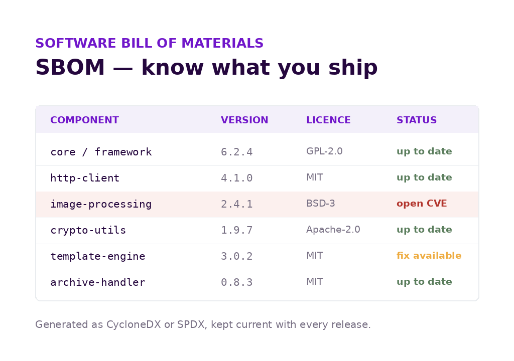 Software bill of materials extract listing components, versions and licences, with one row flagging an open CVE.