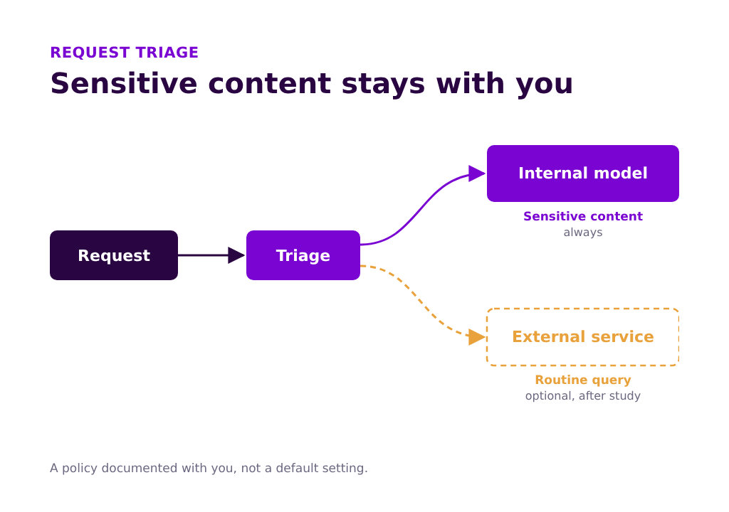 Request triage diagram: sensitive content always goes to the internal model, routine queries can optionally go to an external service after study.